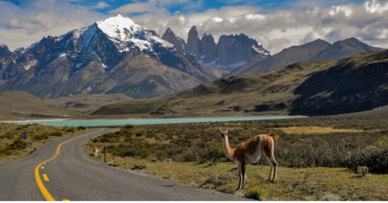 https://notipostingt.com/2022/04/13/4-lugares-que-debes-visitar-en-chile